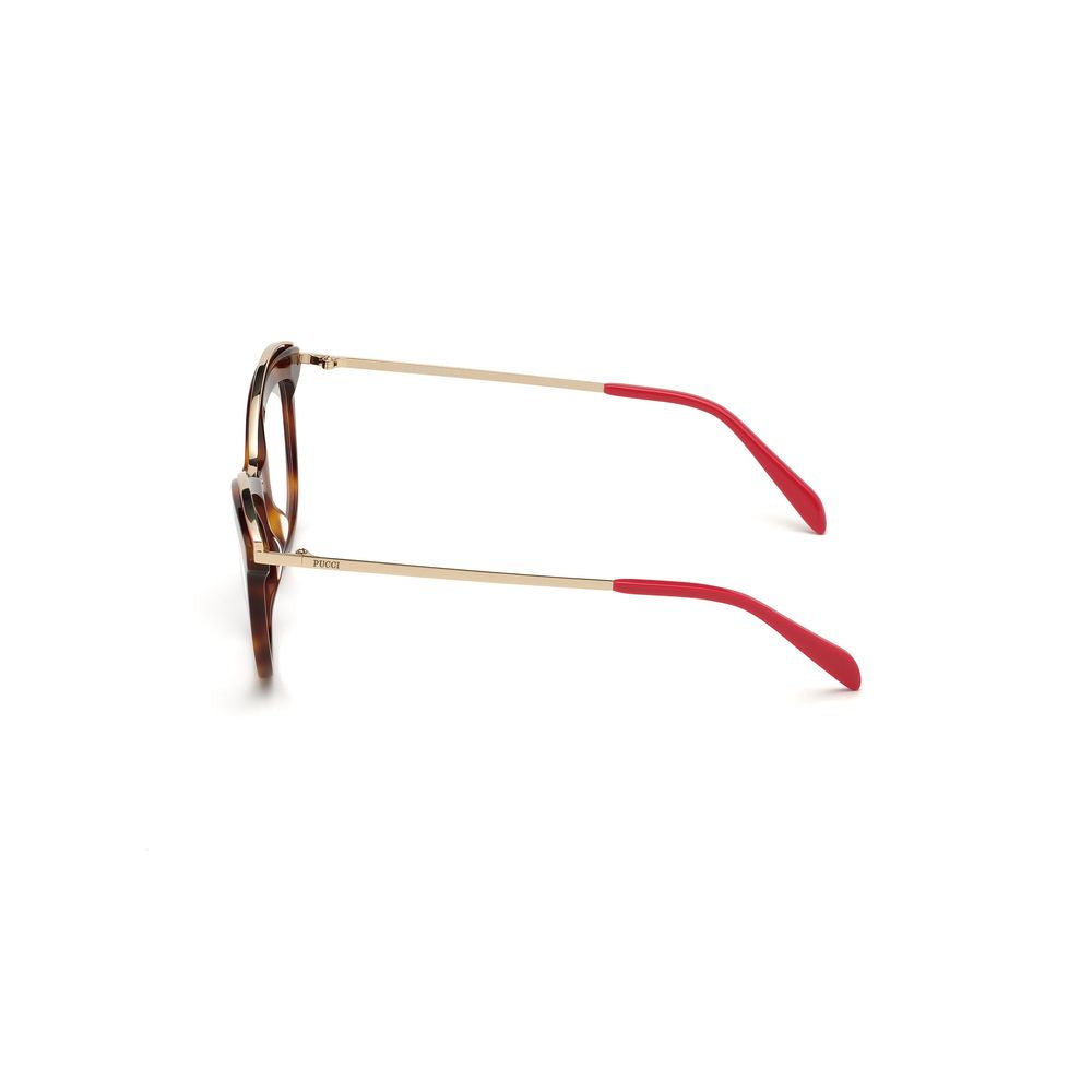 Brown Acetate Frames