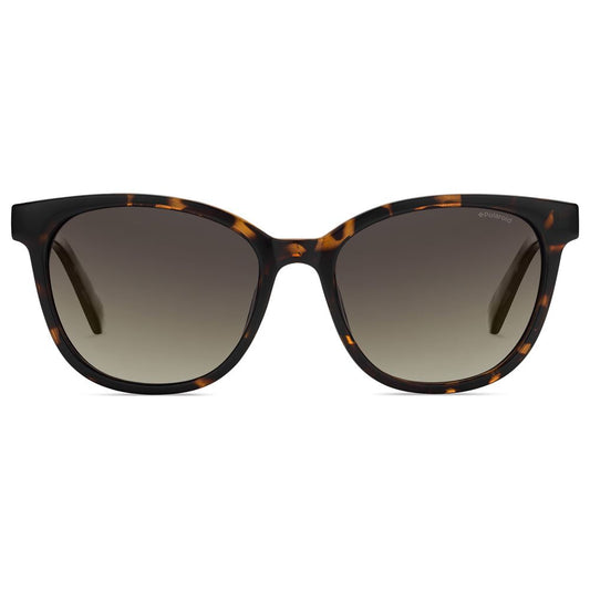 Brown Plastic Sunglasses