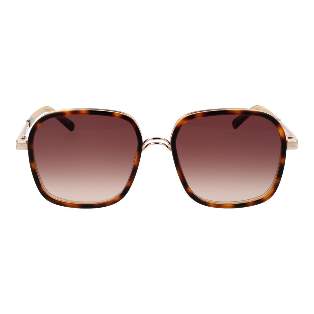 Brown Women Sunglasses